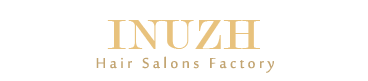 INUZH+ Hair Salons  - China AAAAA Hair dryer manufacturer